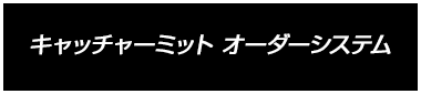 キャッチャーミット オーダーシステム